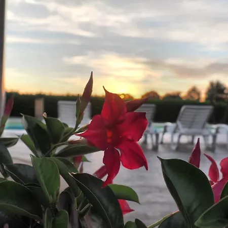 Vakantiehuis Ca Giuliocesare Castiglione di Ravenna